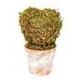 thumbnail image 2 of Fmbmuo Christmas Decor Creative Mini Tree Heart Shaped Desktop Ornament Festive Potted Decor for Desk and Shelf Ornaments,Green, 2 of 5
