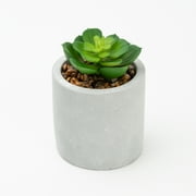 Mainstays 3-Piece Succulent Set in Gray Cement Planters