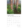thumbnail image 3 of America's National Parks | 2026 12x24" (Hanging) Square Wall Calendar | Plato, 3 of 9
