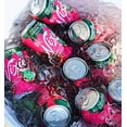 thumbnail image 3 of Nixie Sparkling Water, Green Tea Pomegranate Organic, 12 Ounces - Pack Of 1, 3 of 7