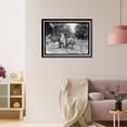thumbnail image 3 of Historic Framed Print, ZOO, WASHINGTON, D.C.: LLAMA - 2, 17-7/8" x 21-7/8", 3 of 9