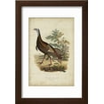 thumbnail image 2 of Wild Turkey Framed Print Wall Art by Charles L Bonapart Sold by Art.Com, 2 of 5