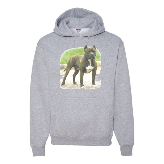 Wild Bobby, Pitbull Dog Animal Pet Lover, Dog Lover, Unisex Graphic Hoodie Sweatshirt, Heather Grey, X-Large