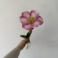 thumbnail image 4 of Xiao Hua 6 flores artificiales de tacto real para decoración del hogar, oficina, boda, arreglo floral (Q03, 9.8 pulgadas de largo), 4 of 5