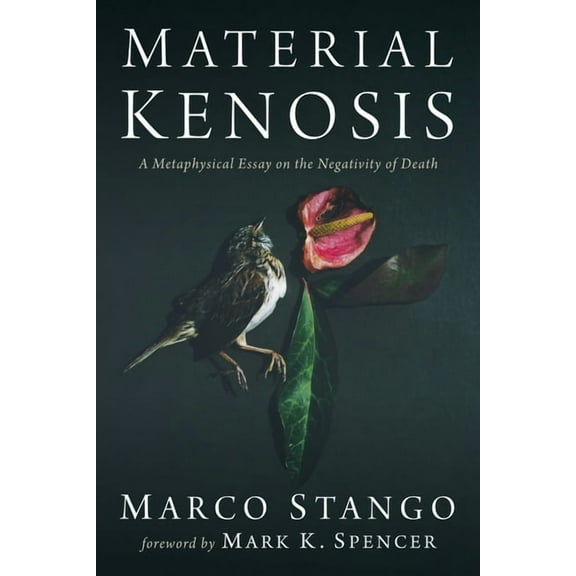 Material Kenosis: A Metaphysical Essay on the Negativity of Death, (Paperback)