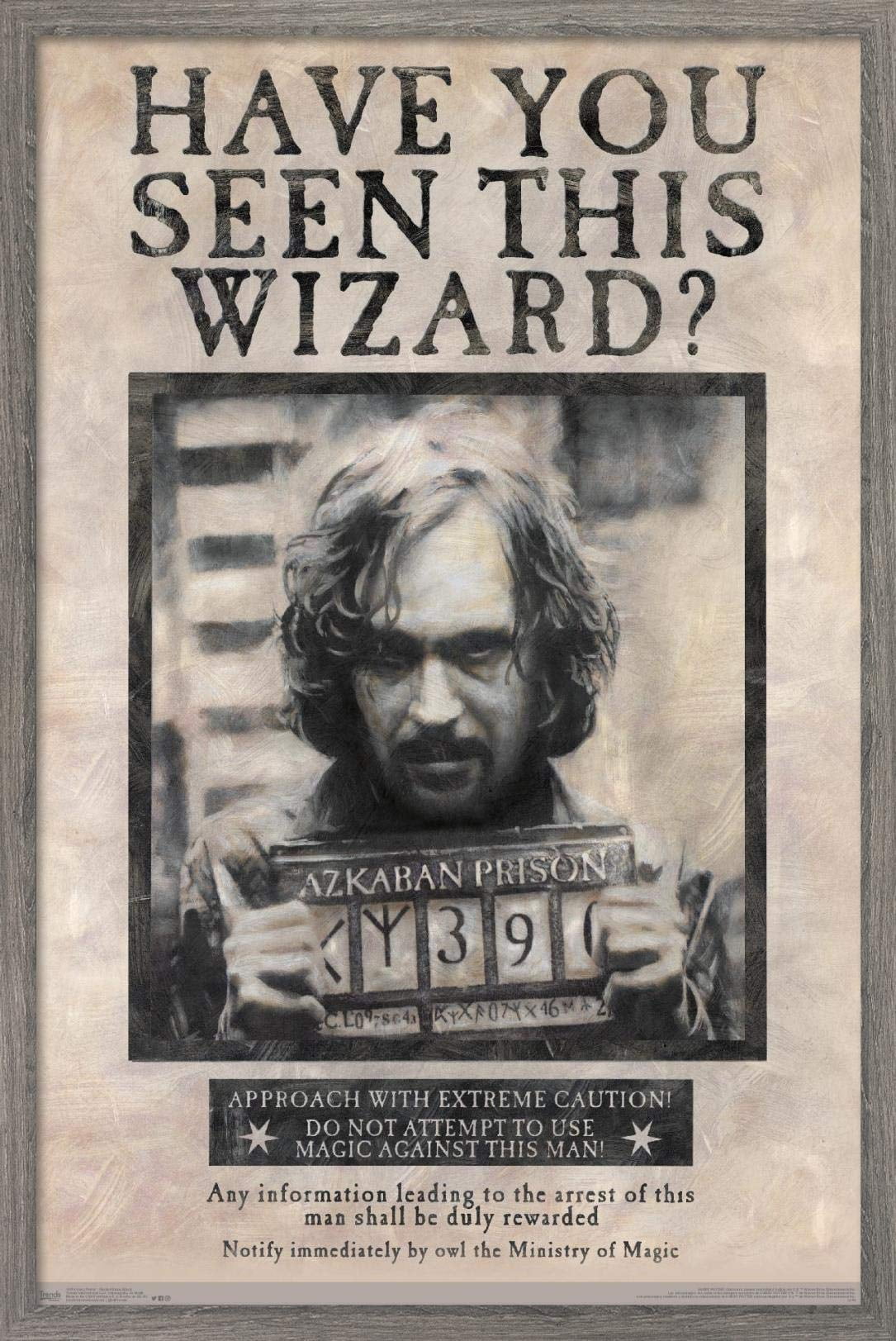 HARRY POTTER16744 - FRENCH