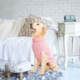 thumbnail image 5 of Dog Accessoriss Warm Twist Knot Autumn And Winter Puppy Coats Vest Pet Sweater Dog's Clothes BLUE, 5 of 8