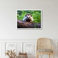 thumbnail image 4 of Nawypu  Cute Hedgehog Forest Wild Animal PLAKAT POSTER Wall Art Canvas Prints Poster For Home Office Decorations, 4 of 4