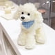 thumbnail image 3 of ToyKingdee Plush Poodle Dog Puppy Stuffed Animals Toys Dolls Gifts, 3 of 7