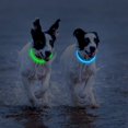 thumbnail image 6 of Miaocao Flashseen LED Dog Collar, USB Rechargeable Glowing Lighted Up Collar, Cuttable Water-Resistant TPU Safety Collar Lights for Small Medium Large Dogs, 6 of 7