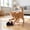 Black#49, variant on Realistic Squeaky Mouse Cat Toy Gray Plush Fuzzy Stuffed Interactive Chew Toy for Indoor Kittens Boredom Relief with Built-in Loop 7.48x1.97 in