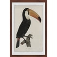 thumbnail image 3 of Quiet Toucan Framed Painting Print, 3 of 6