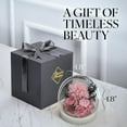 thumbnail image 4 of GLAMOUR BOUTIQUE Preserved Flowers Rose in Glass Dome w/Light - Long Lasting Flowers, Flower Gifts for Women for Any Occasion - Home Decor, Comes w/Thick Gift Box - Forever Glass Rose Flowers - Pink, 4 of 9