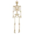 thumbnail image 1 of 5ft Light Up Poseable Skeleton Decoration, Halloween Outdoor Decor, by Way To Celebrate, 1 of 4
