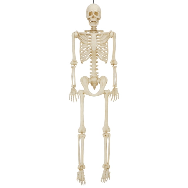 5ft Light Up Poseable Skeleton Decoration, Halloween Outdoor Decor, by Way To Celebrate