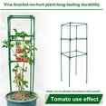 thumbnail image 5 of Homerr Tomato Cage Vegetable Trellis Tomato Cage Height Adjustable Easy to Assemble Vertical Climbing Plants Vegetable Trellis Flowers Plant Support Tomato, 5 of 7