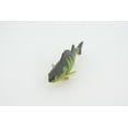 thumbnail image 6 of Yellow Perch, Hand Painted, Educational, Rubber Fish, Realistic Figure, Lifelike Model, Figurine, Replica, Gift, 2 3/4" SF14 B31, 6 of 9