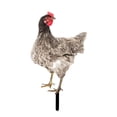 thumbnail image 3 of Adorno de césped para gallina, letrero para porche, de gallo, estaca para patio, estatua de jardín para pollo Estilo D, 3 of 8