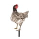 thumbnail image 3 of Adorno de césped para gallina, letrero para porche, de gallo, estaca para patio, estatua de jardín para pollo Estilo D, 3 of 8
