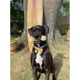 thumbnail image 3 of Juguete para masticar Nylabone Power Chew Mega Knot Bone Big Dog XXL, 3 of 9