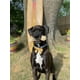 thumbnail image 3 of Juguete para masticar Nylabone Power Chew Mega Knot Bone Big Dog XXL, 3 of 9
