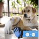 thumbnail image 3 of Pet Brush, Five Finger Design for Cat and Dog Grooming, 3 of 4