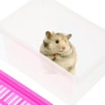 thumbnail image 1 of QUMIIRITY Turtle Terrarium 1Pcs Compact Design Plastic for Turtle Home Use, 1 of 8