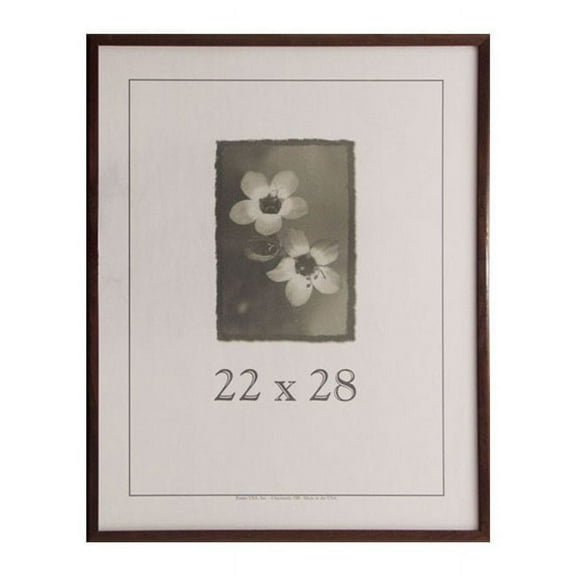 Frame USA Economy 22-inch x 28-inch Picture Frame