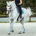 thumbnail image 2 of Horze Sion Bridle with Reins, 2 of 7