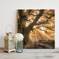thumbnail image 2 of Wall Art Prints, Brown Trees Framed Canvas Prints for Bedroom Living Room Bathroom Office, Vintage Rustic Forest Nature Light Scenery Gallery Wrap Wall Art Poster for Gifts Home Decor 8"x8", 2 of 9
