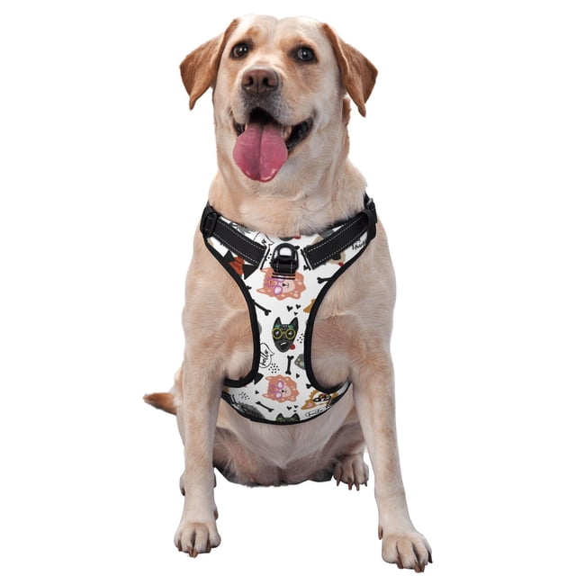 Balery Hip Hop Dog Arnés para Perros Grandes Antitirones, Arnés con Correa para Gato, Arnés Tipo Chaleco para Perros Pequeños-Small