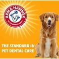 thumbnail image 6 of Arm & Hammer Clinical Care Dental Rinse for Adult Dogs, No Taste, No , 16oz, 6 of 7
