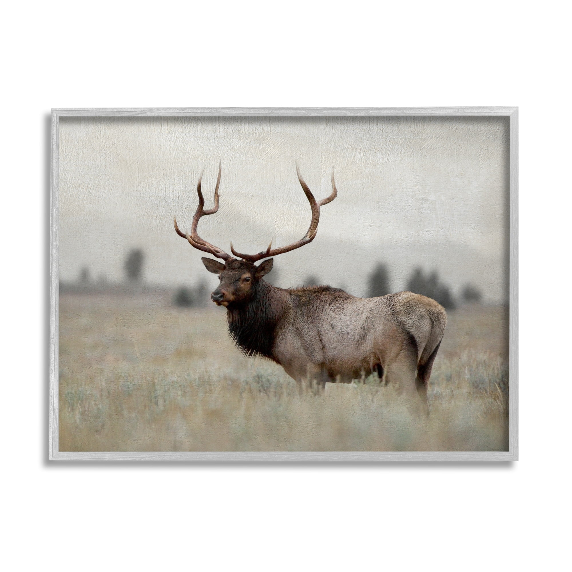 Stupell Industries Tranquil Elk Deer Grazing Rural Farmland Field Photograph Gray Framed Art Print Wall Art, Design by Danita Delimont