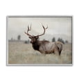 thumbnail image 5 of Stupell Industries Tranquil Elk Deer Grazing Rural Farmland Field Photograph Gray Framed Art Print Wall Art, Design by Danita Delimont, 5 of 5