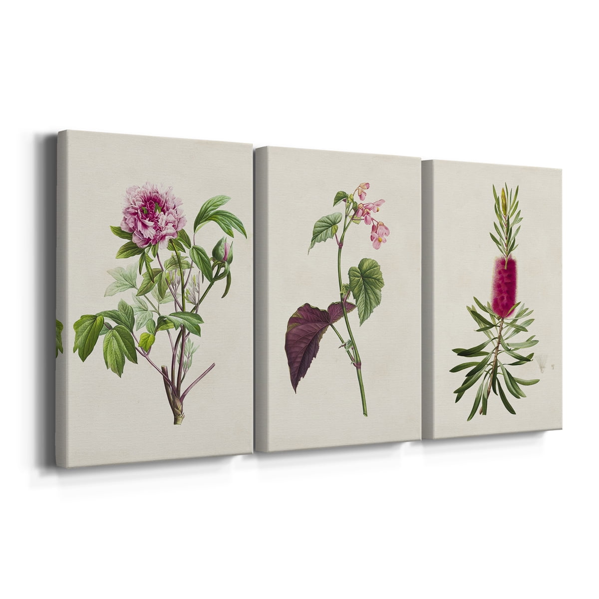 Pretty Pink Botanicals V Premium Gallery Wrapped Canvas - Ready to Hang - 18 x 27 Each