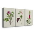 thumbnail image 3 of Pretty Pink Botanicals V Premium Gallery Wrapped Canvas - Ready to Hang - 32 x 48 Each, 3 of 10