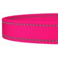 thumbnail image 5 of Country Brook Petz - 3/4 Inch Reflective Nylon Dog Leash, 5 of 5