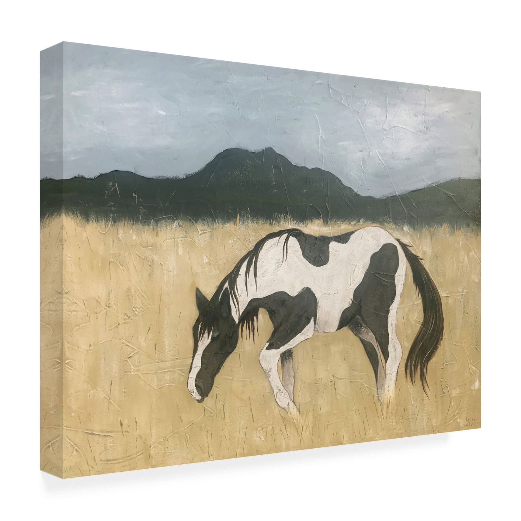 Trademark Fine Art Jade Reynolds  Born Free I Canvas Wall Art