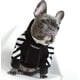 thumbnail image 1 of Sudadera con capucha para perros de moda para mascotas, ropa deportiva para perros de otoño e invierno, 1 of 6