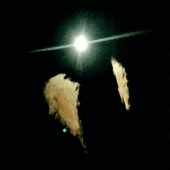 Midwife - Forever - Music & Performance - Cassette