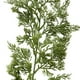 thumbnail image 4 of Simulated Christmas Rattan Feel Soft Glue Green Pines Needles Cypresses Leaf Door Hanging Wall Hanging Home Layout Interior Decoration, 4 of 5