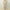 Khaki, variant on Aloohaidyvio No Boundaries Pants for Women,Womens Buttoned Round Neck Floral Print Casual Comfortable Camisole Jumpsuit