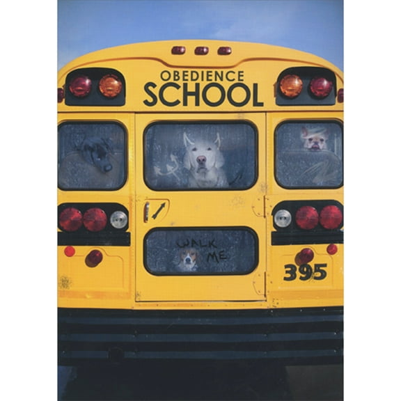 RSVP Dogs Looking Out Back Window of School Bus High School Funny Graduation Congratulations Card
