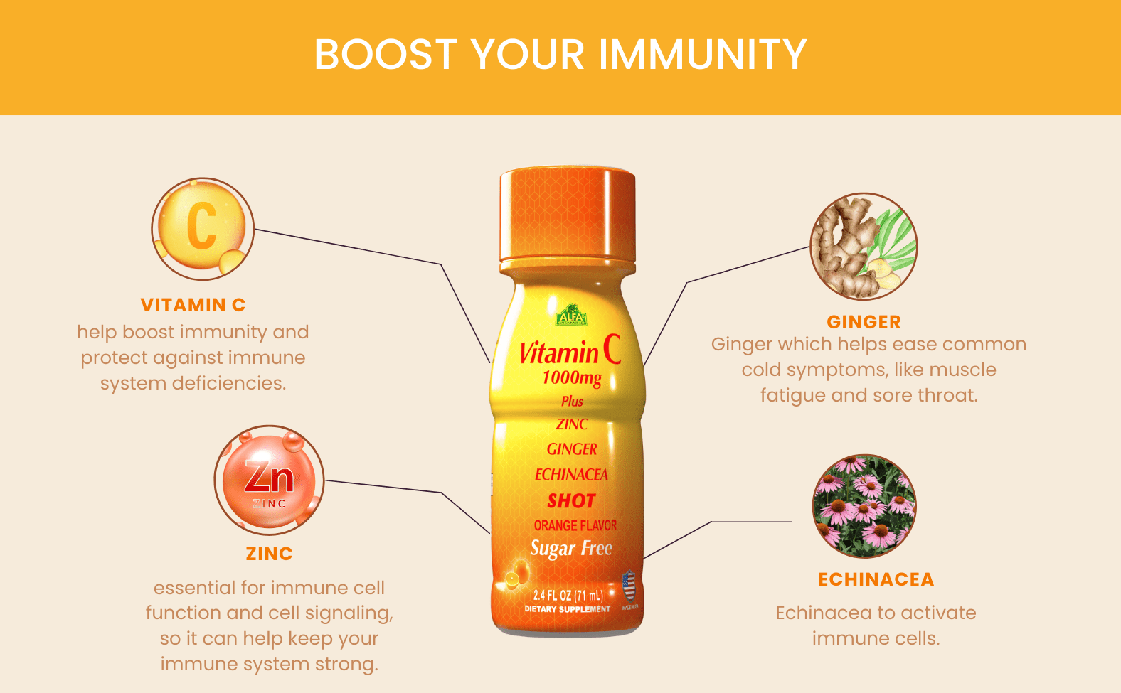 Alfa Vitamins Vitamin C 1,000mg Shot - Plus Zinc, Ginger, & Echinacea - Immune system Booster - Orange Flavor - 2.4 FL oz individual bottles - 20 Pack