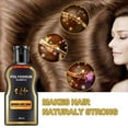 thumbnail image 3 of Fiudx Champú Oscurecedor Natural, Fórmula de Jengibre para Cubrir Canas Al Instante, Tratamiento Herbal Nutritivo, Promueve El Crecimiento Del Cabello y La Salud Del Cuero Cabelludo, Uso Rápido En 3, 3 of 6