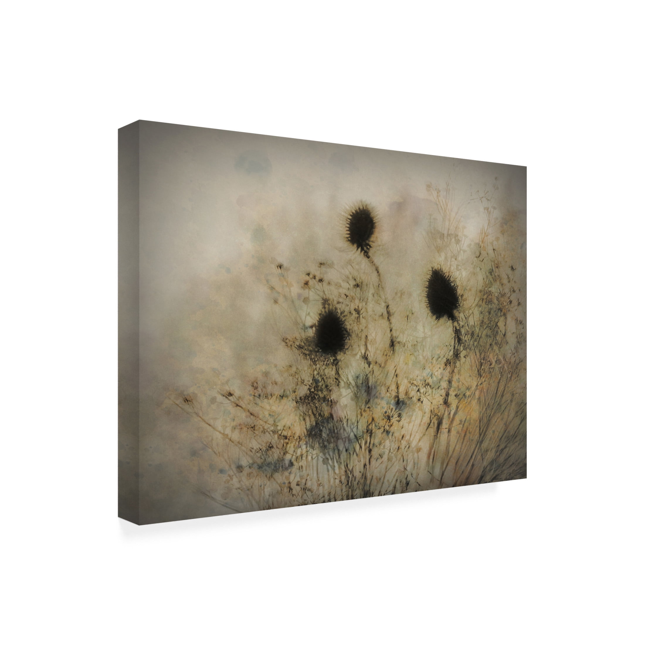 Canvas Wall Art - Katarina Holmstrom 'Seed Boxes' Wall Art for Living Room, Bedroom, or Office Décor by Trademark Fine Art - 19 x 14 Inches