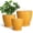 Matte Orange, variant on 6'' 8'' 10 inch Ceramic Planters Set of 3 with Drainage Hole and Saucer – Blue Glazed Pots for Indoor Succulents, Snake Plant, Fiddle Leaf Fig, Housewarming Gift