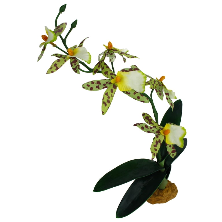 Komodo Silk Orchid Plant with Gravel Base, 14 Inches photo 3