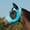 Turquoise, variant on Weaver Leather Coolaid Graphite Fly Mask