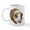White, variant on CafePress - Guinea Pig Mug - 11 oz Ceramic Mug - Novelty Coffee Tea Cup